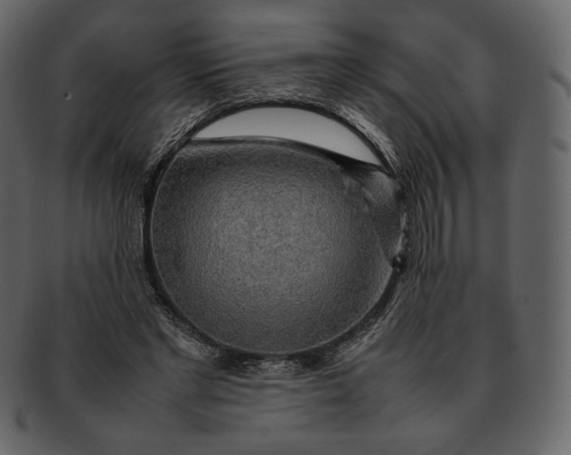 X0000092280493200710051146