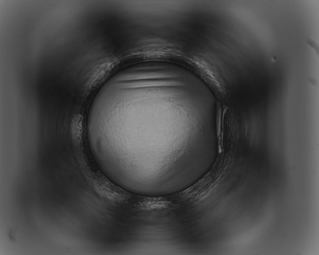 X0000092280495200710051146