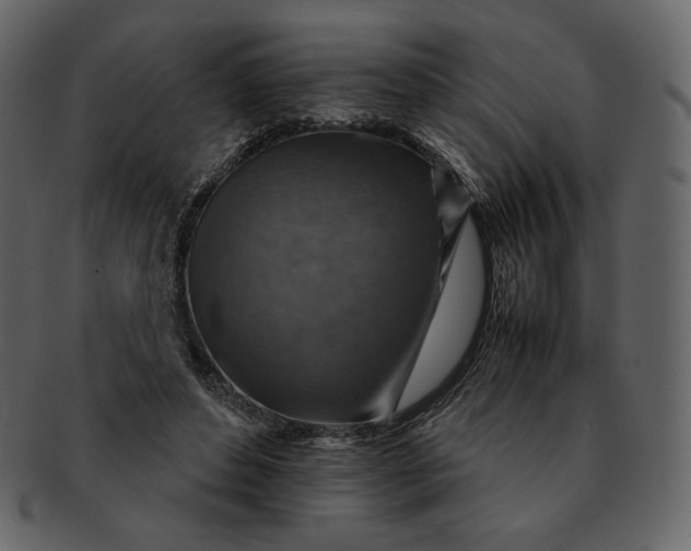 X0000092280496200710051146