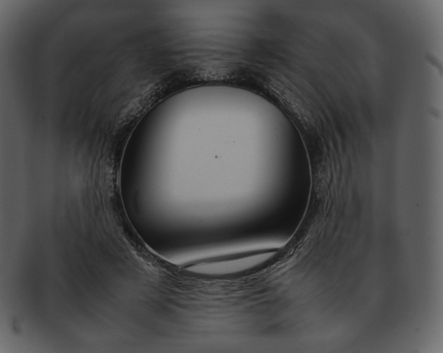 X0000092280497200710051146
