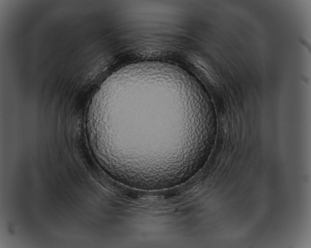 X0000092280499200710051146