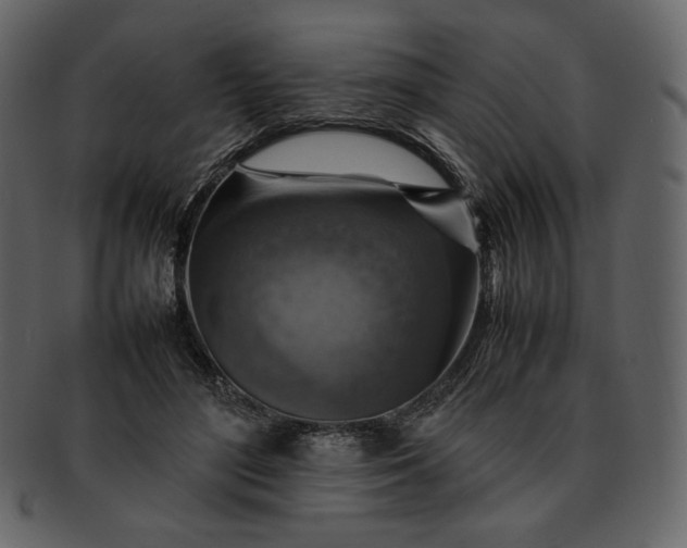 X0000092280500200710051146