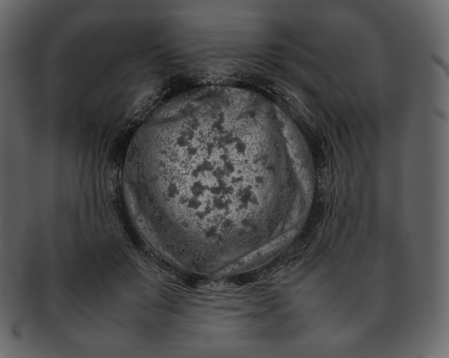 X0000092280503200710051146