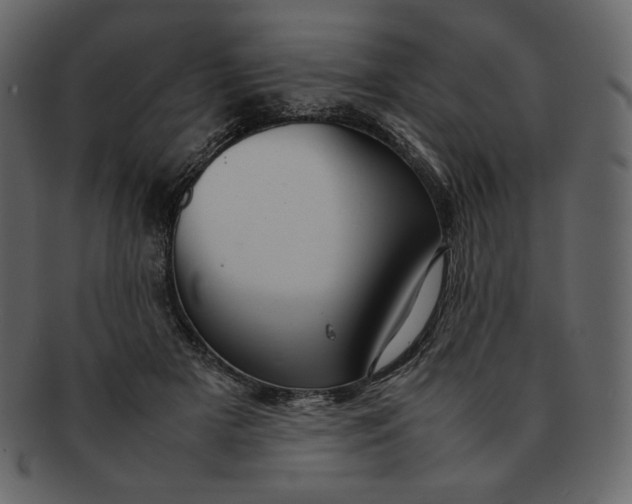 X0000092280505200710051146