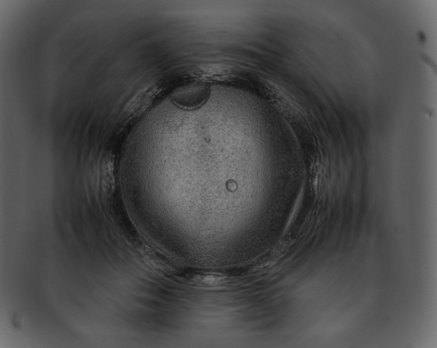 X0000092280506200710051146