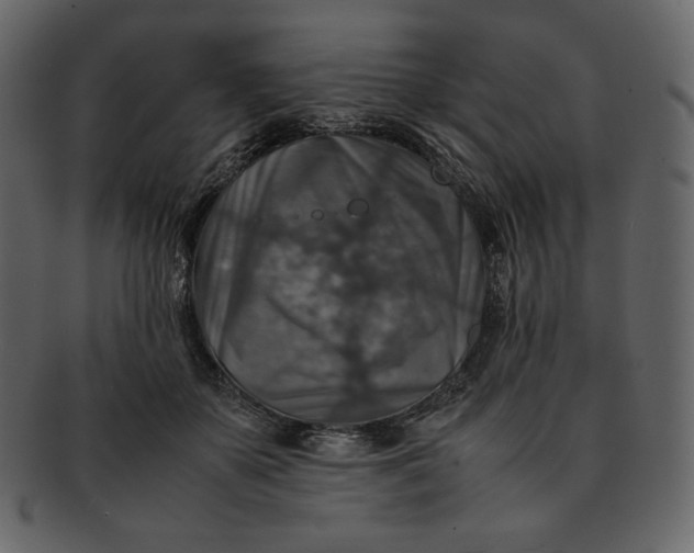 X0000092280507200710051146