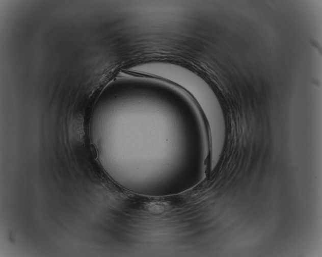X0000092280508200710051146