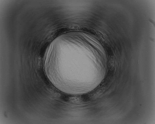 X0000092280511200710051146