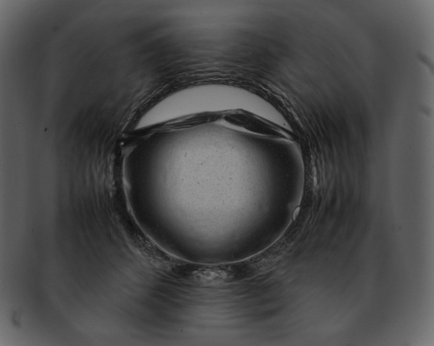 X0000092280512200710051146