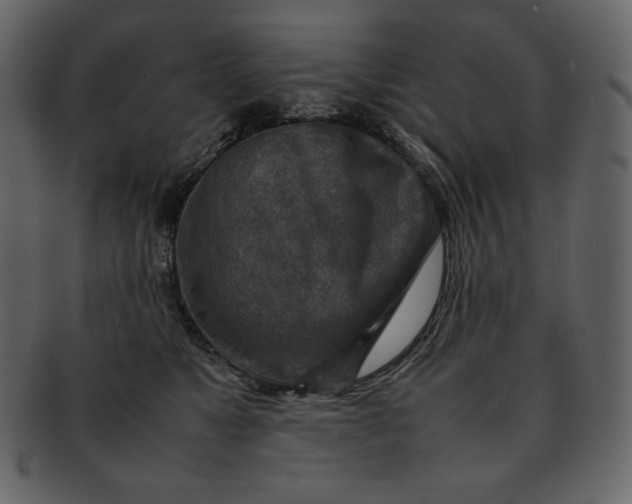 X0000092280517200710051146