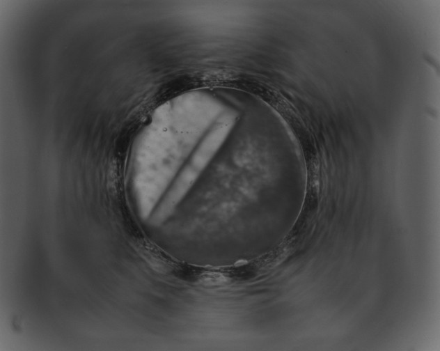 X0000092280519200710051146