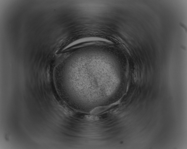X0000092280520200710051146