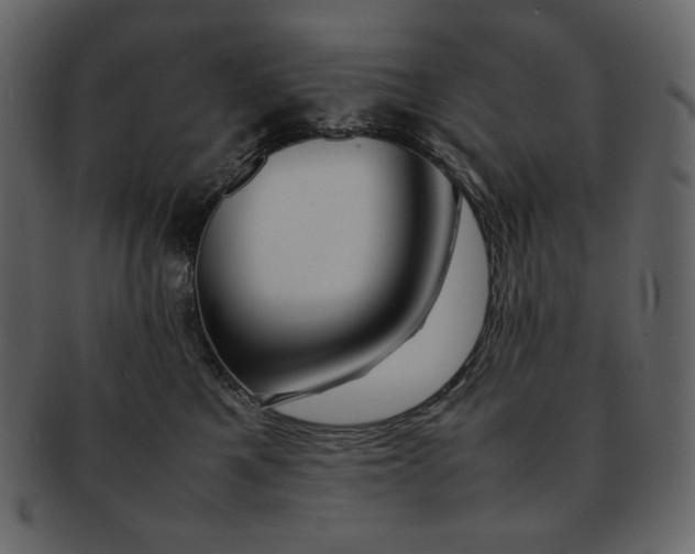 X0000092280521200710051146
