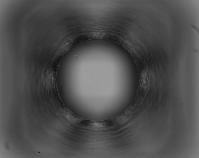 X0000092280522200710051146
