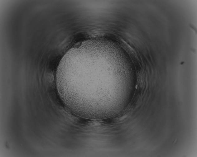X0000092280523200710051146