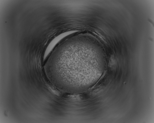 X0000092280524200710051146