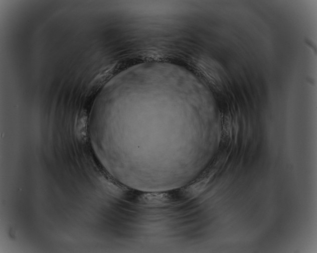 X0000092280526200710051146