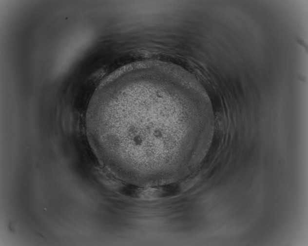 X0000092280527200710051146