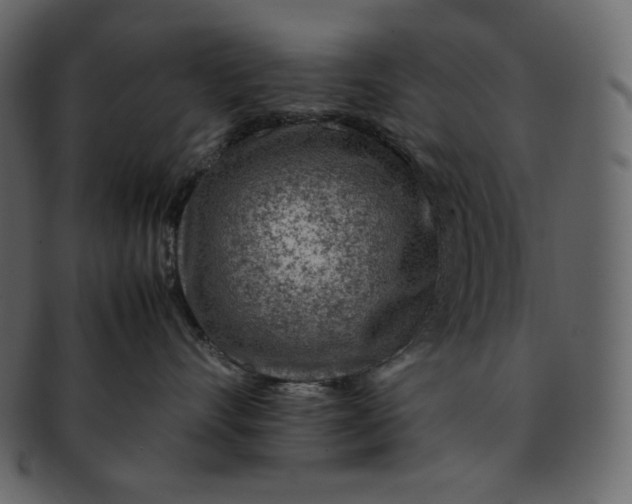 X0000092280528200710051146