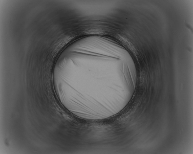 X0000092280529200710051145