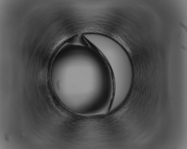 X0000092280530200710051145