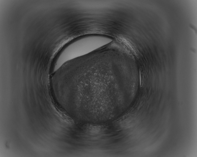 X0000092280531200710051145