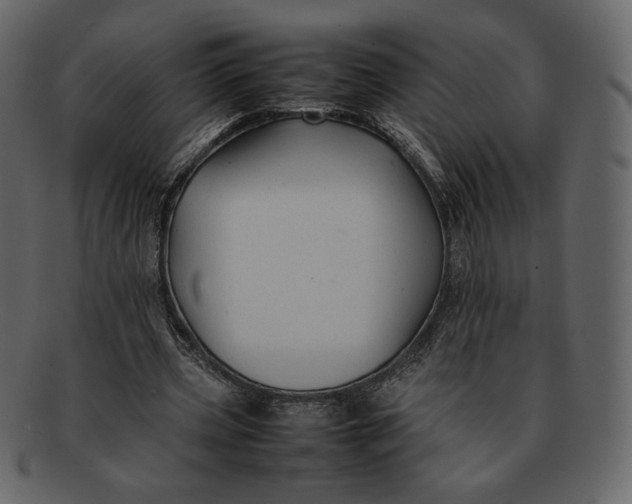 X0000092280533200710051145