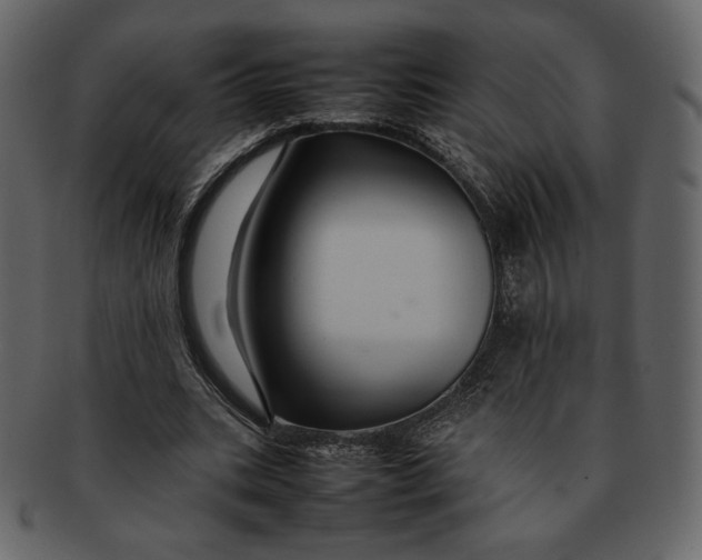 X0000092280535200710051145