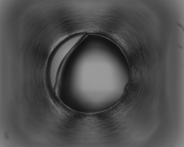 X0000092280536200710051145
