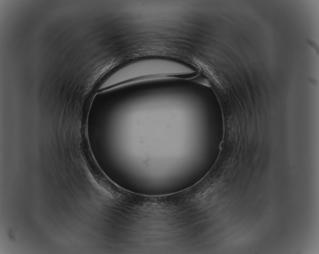X0000092280538200710051145