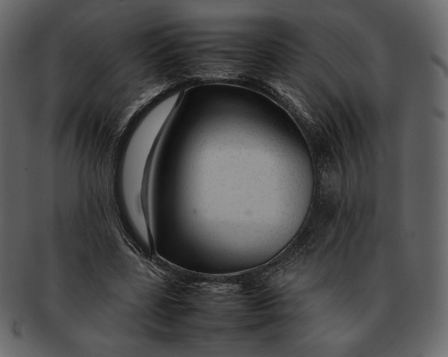 X0000092280539200710051145