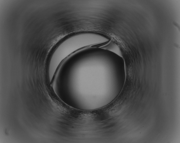 X0000092280540200710051145
