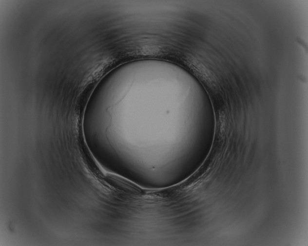 X0000092280542200710051145