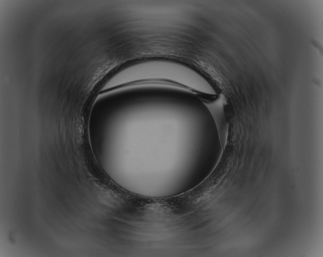 X0000092280544200710051145