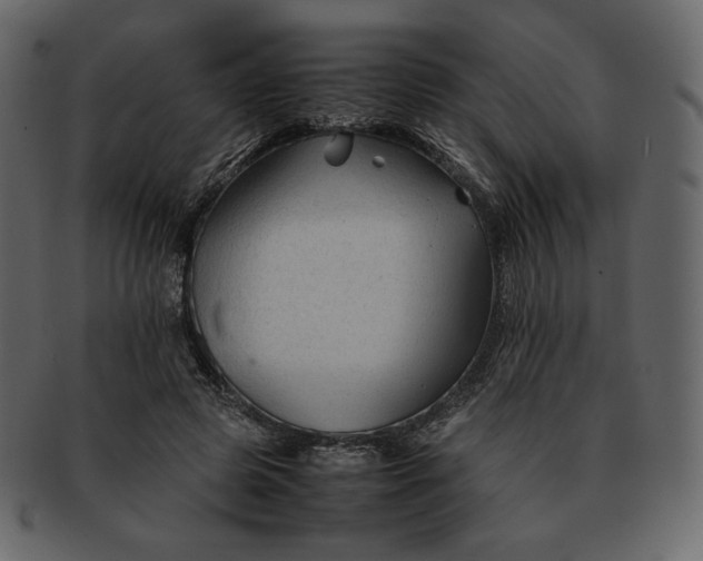 X0000092280545200710051145