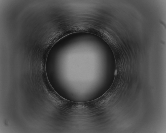 X0000092280546200710051145