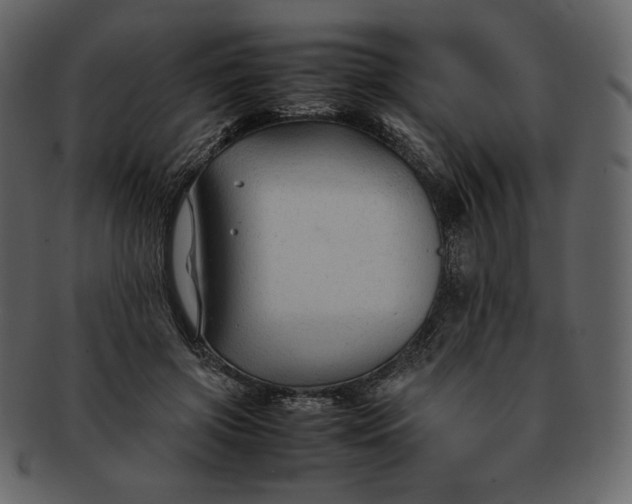 X0000092280549200710051145