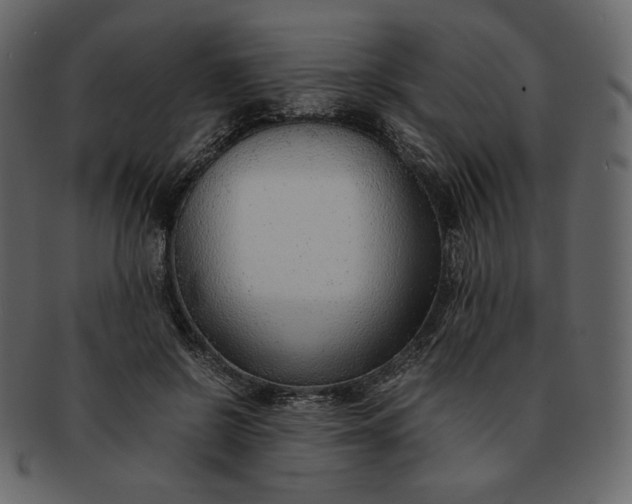 X0000092280550200710051145