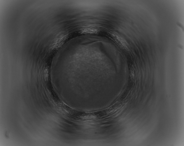X0000092280551200710051145