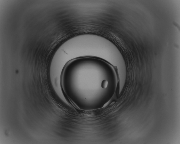 X0000092280552200710051145
