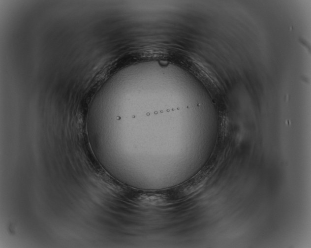 X0000092280557200710051145