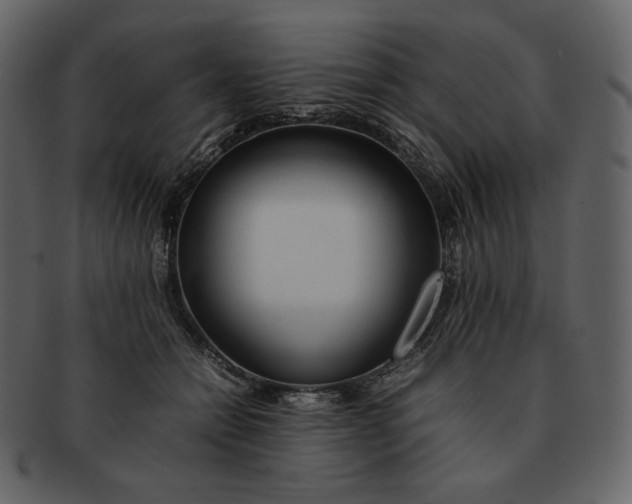X0000092280558200710051145