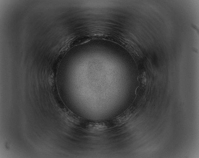 X0000092280559200710051145