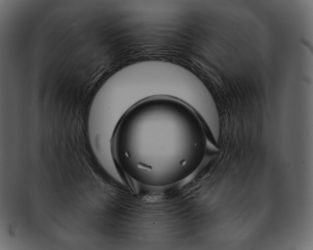 X0000092280560200710051145