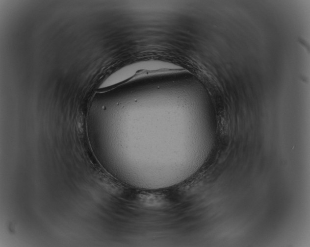 X0000092280561200710051145