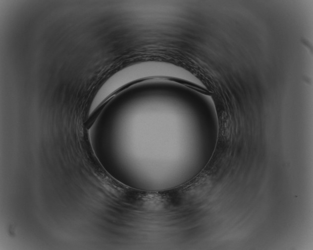 X0000092280562200710051145