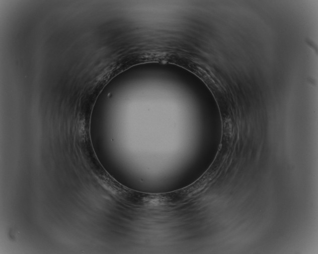 X0000092280564200710051146