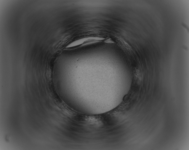 X0000092280565200710051146