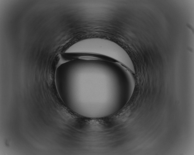 X0000092280566200710051146