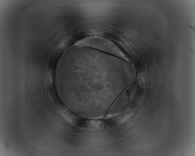 X0000092280570200710051146
